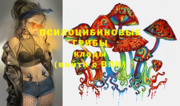 стафф Алзамай