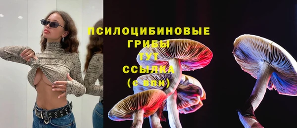 стафф Алзамай